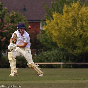 Cricket2-4