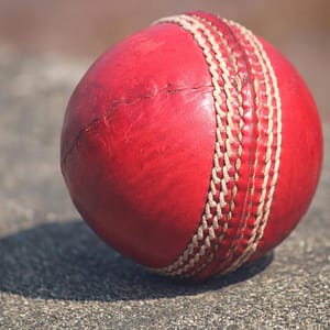Cricket